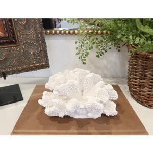 White Coral Faux Reef Decor 9" x 8" Resin Coral Decor